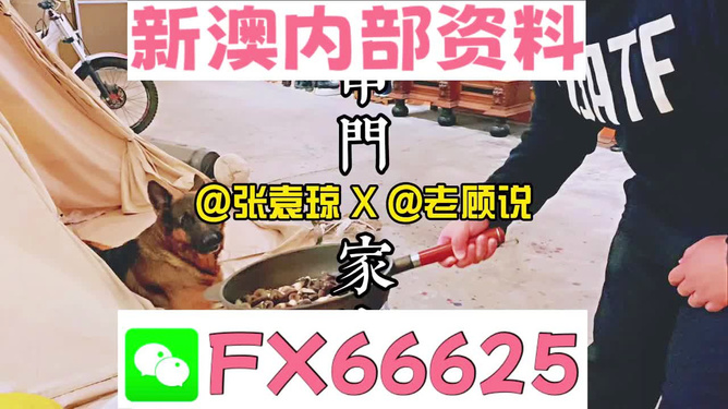 澳门管家婆现象概述