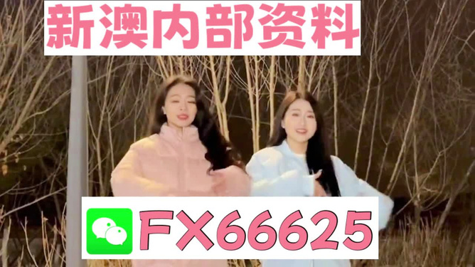 管家婆一码一肖的独特魅力与精准预测