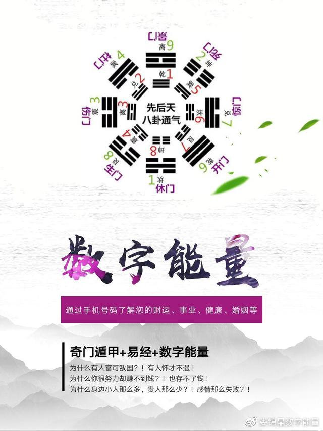 精准四肖中特数据支持，探索77777与88888的神秘组合