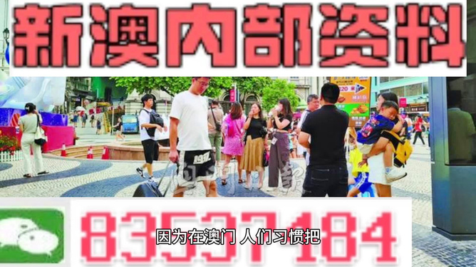 新澳门正版资料2025年展望与精准资料综合分享