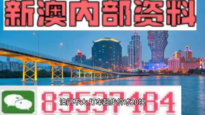 探索未来之门，澳门精准免费大全官网入口—迈向2024年的数据世界