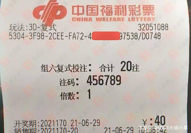 澳门与香港彩票资料全面解读与未来展望，免费资料的落实与社区发展