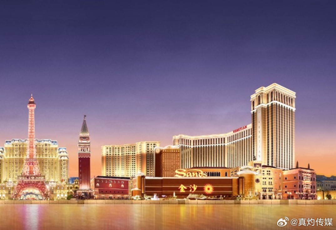 澳门王中王的未来展望与专家解读，2025年的新动向与资料解析