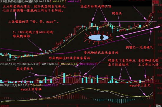 新闻 第37页