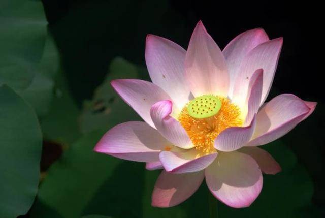澳门彩票的未来展望，2025天天开好彩的期待与探索