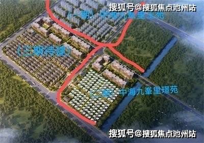 揭秘新奥开码结果背后的真相，探索未来预测与真实之间的边界