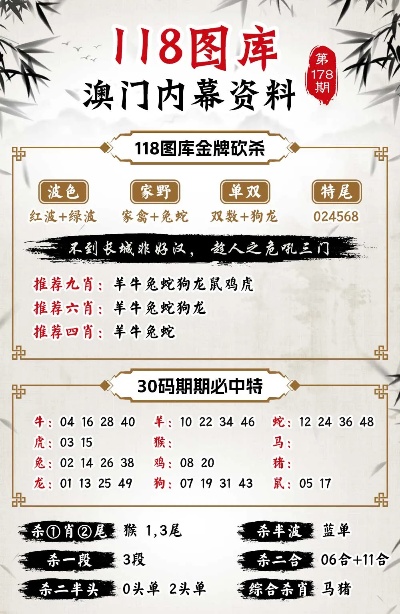 精准四肖，解读与落实策略
